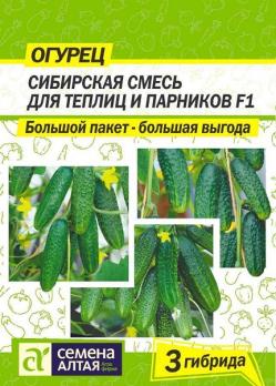 Огурец Сибирская Смесь Для Теплиц и Парников F1 /20шт раннеспел,партенок