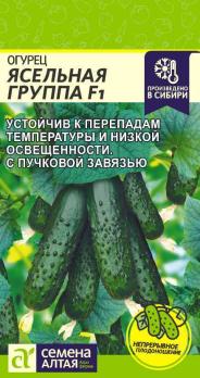 Огурец Ясельная Группа F1 5шт /очень ранний партенокарпический высокоурожайный