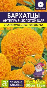 Бархатцы Антигуа Золотой Шар 5шт сер.Низкорослые гиганты /однолетник