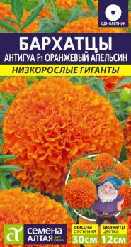 Бархатцы Антигуа Оранжевый Апельсин 5шт сер.Низкорослые гиганты /однолетник