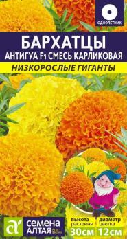 Бархатцы Антигуа Смесь Карликовая 5шт сер.Низкорослые гиганты /однолетник