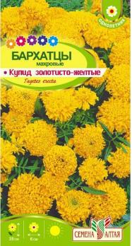 Бархатцы Купид Золотисто-Желтые 0,3гр Н35см /однолетник