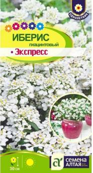 Иберис гиацинтовый Экспресс 0,1гр Н30см /однолетник