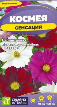 Космея Сенсация 0,3гр Н100см /однолетник