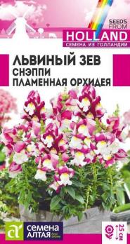 Львиный зев Снэппи Пламенная Орхидея 10шт (драже в пробирке) Н25см (Голландия) /однолетник