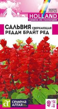 Сальвия Редди Брайт Ред сверкающая 5шт Н25см (Голландия) /однолетник
