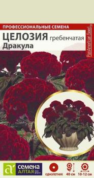 Целозия гребенчатая Дракула 3шт Н40см сер.Профессион.семена /однолетник