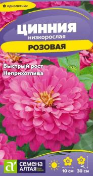 Цинния Розовая 0,2гр низкорослая /однолетник