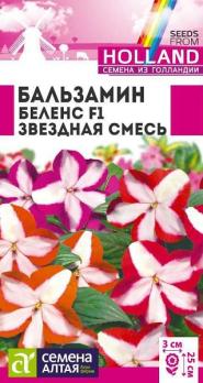 Бальзамин Беленс Звездная смесь 5шт (драже в пробирке) Н25см (ГОЛЛАНДИЯ) /комнатные
