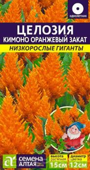 Целозия перистая Кимоно Оранжевый Закат 10шт Н15см сер.Низкорослые гиганты /однолетник