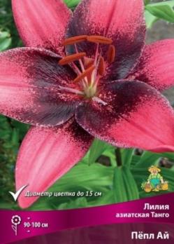Лилия Азиатская Танго Пёпл Ай (3шт) 90-100см 12/14