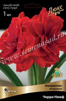 Амариллис Черри Нимф (1шт) махровый 24/26