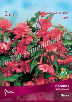 Бегония Пинк (2шт) ампельная 4/5