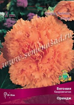 Бегония Ориндж (2шт) бахромчатая 4/5