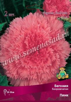 Бегония Пинк (2шт) бахромчатая 4/5