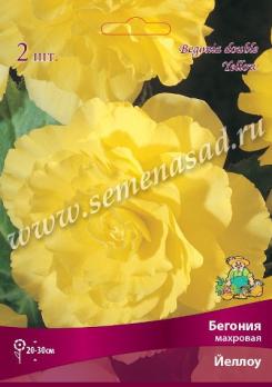 Бегония Йеллоу (2шт) махровая 4/5