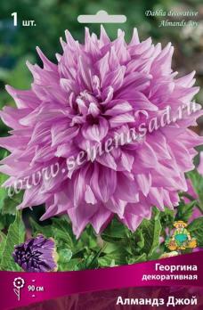 Георгина Алмандз Джой (1шт) декоративная I разбор