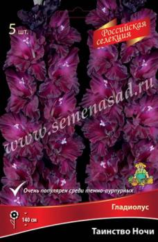 Гладиолус Таинство Ночи (5шт) Российская селекция 12/+