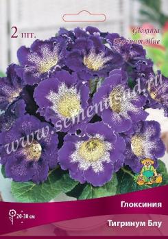 Глоксиния Тигринум Блу (2шт) 4/5