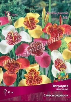 Тигридия Смесь окрасок павлинья (10шт) 5/7