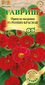 Примула Ромио Красная F1 3шт махровая сер.Элитная клумба /комнатные