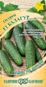 Огурец Балагур F1 /10шт сер.Семена от автора /очень урожайный пчелоопыл