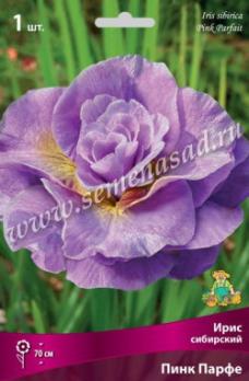 Ирис сибирский Пинк Парфе I (1шт) 70см