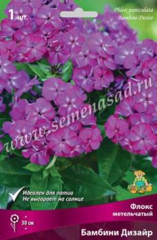 Флокс Бамбини Дизайр метельчатый (1шт) I разбор