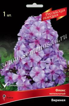 Флокс Виринея метельчатый 