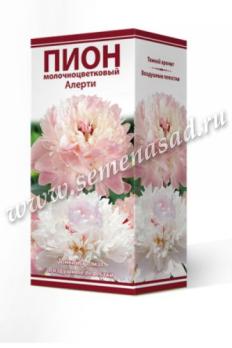 Пион Алерти (1шт) 2-3 разбор молочноцветковый