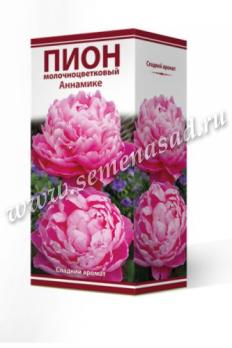 Пион Аннамике  молочноцветковый (1шт) 2-3 разбор