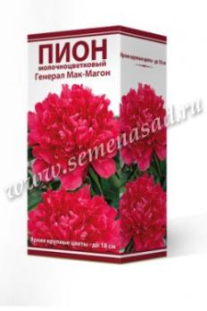 Пион Генерал Мак-Магон  молочноцветковый (1шт) 2-3 разбор