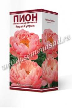 Пион Корал Суприм  молочноцветковый (1шт) 2-3 разбор