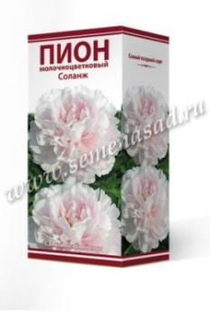 Пион Соланж    молочноцветковый (1шт) 2-3 разбор