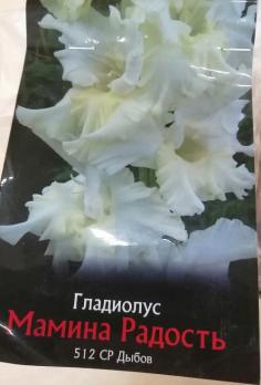 Гладиолус Мамина Радость (10шт) 1разбор