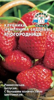 Земляника Огородница F1 15шт /раннеспелый ремонтантный 