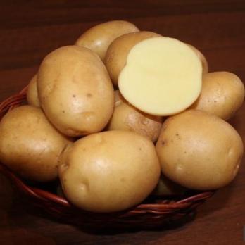 КАРТОФЕЛЬ (10шт) КОЛОБОК СуперЭлита /кремово-желтая мякоть