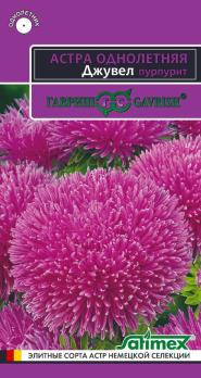 Астра Джувел Пурпурит (игольчато-коготковая) 0,05гр сер.Эксклюзив /однолетник