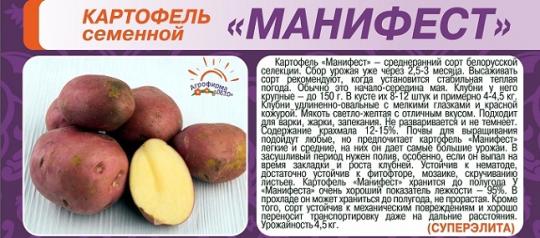 КАРТОФЕЛЬ (2кг) МАНИФЕСТ СуперЭлита /мякоть светло-желтая
