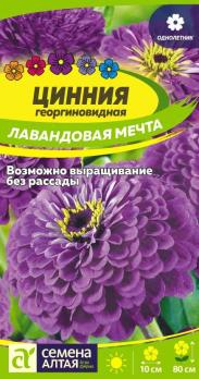 Цинния Лавандовая Мечта 0,2гр георгиновидная /однолетник