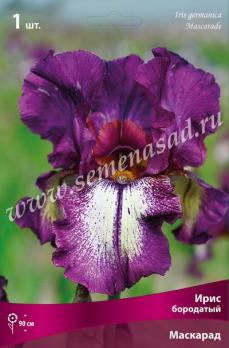 Ирис Маскарад бородатый (1шт)