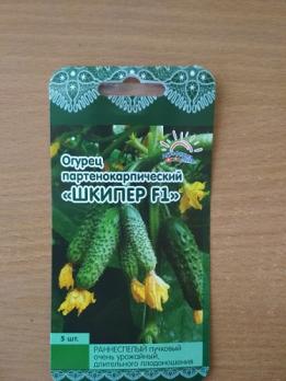 Огурец Шкипер F1 /5шт партенок,раннеспел (Голландия) 