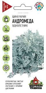 Цинерария Андромеда 0,1гр приморская сер.Удачные семена /однолетник