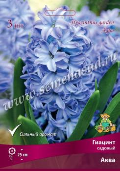 Гиацинт Садовый Аква 15-16/К 3шт