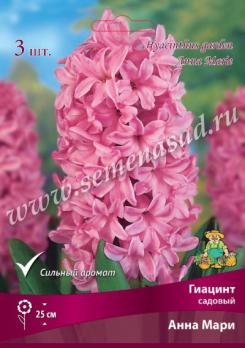 Гиацинт Садовый Анна Мари 15-16/К 3шт