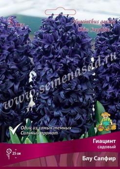 Гиацинт садовый Блу Сапфир 14/15 (3шт) 25см