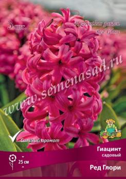 Гиацинт Садовый Ред Глори 15-16/К 3шт