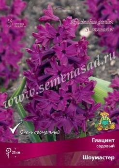 Гиацинт Садовый Шоумастер 14-15/К 3шт