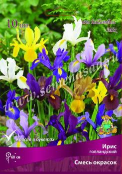 Ирис голландский смесь окрасок 7/8 (10шт) 60см