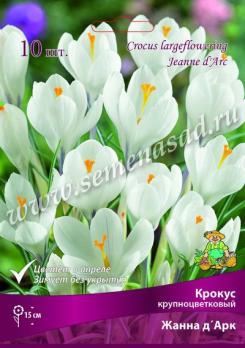 Крокус крупноцветковый Жанна д'Арк 7/8 (10шт) 15см